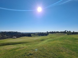 Golf Parco di Roma Buca 6