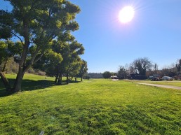 Golf Parco di Roma Buca 16